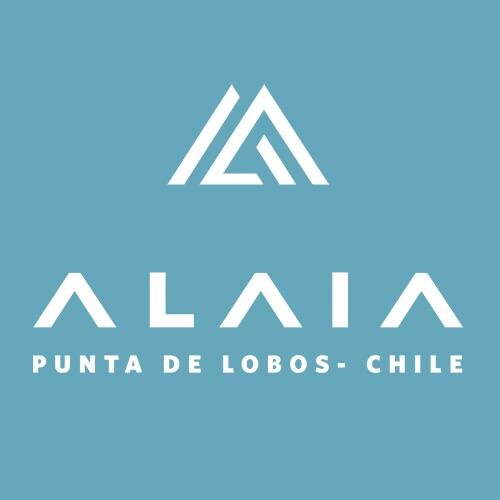 Ubicado sobre la playa de Punta de Lobos, Hotel Alaia ofrece una experiencia programática única para Surfers, deportistas, aventureros y familias.