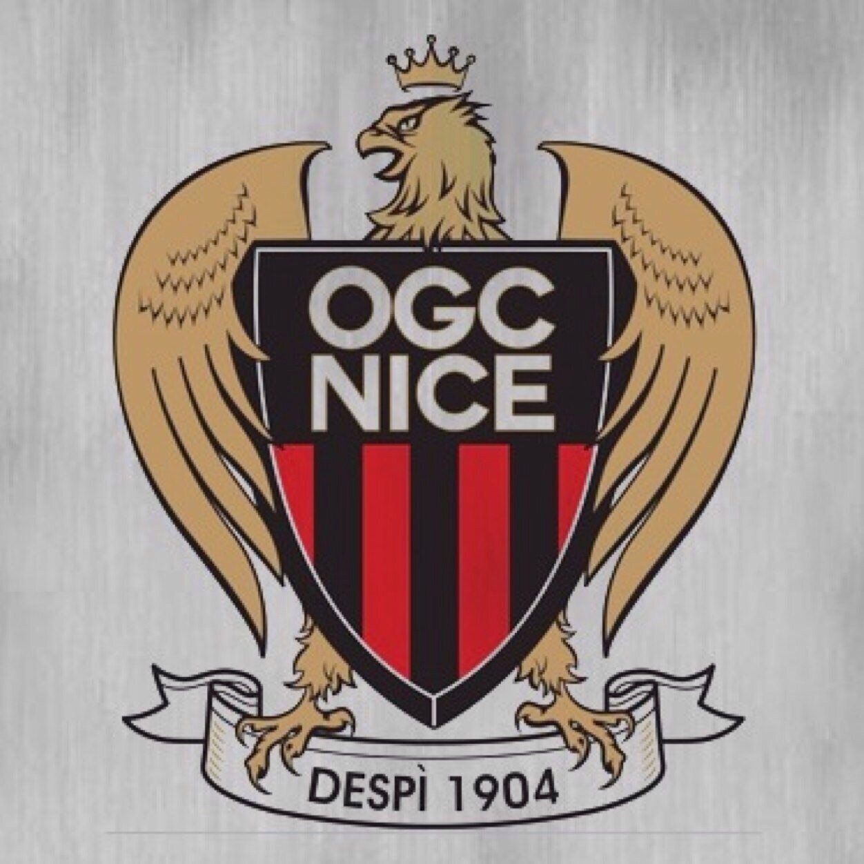 Compte twitter officiel des supporters de l'OGC Nice. Compte diriger par un supporter