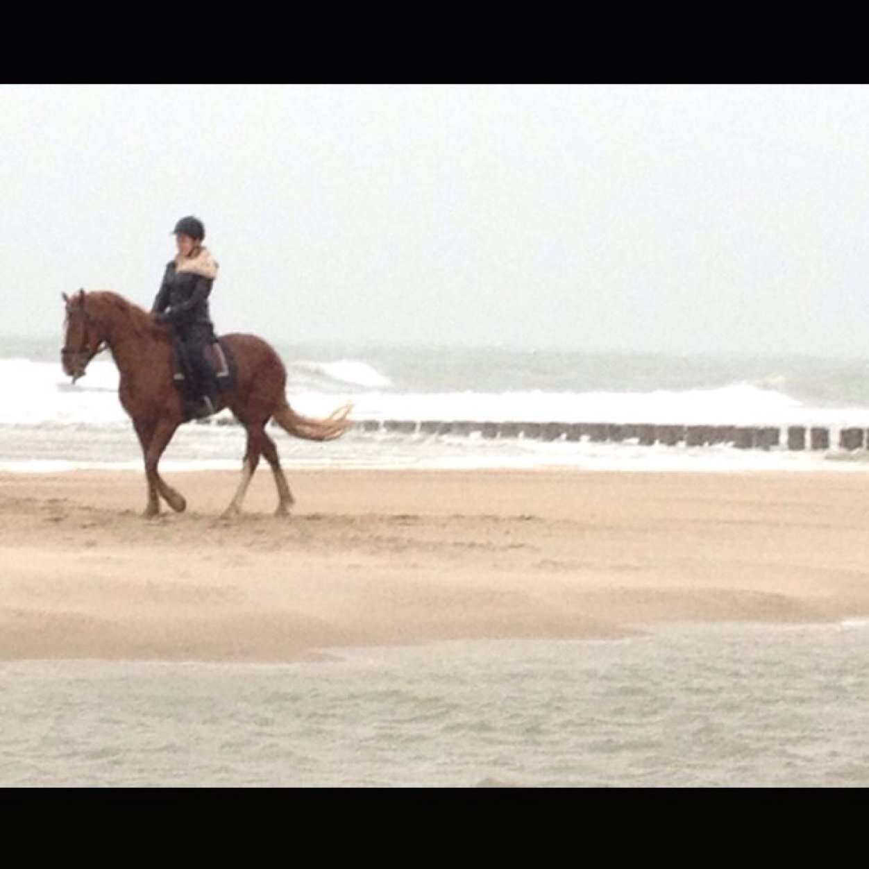 xilse_Delmee's profile picture. ♡