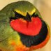 Malcolm Wilson (@shoebill1961) Twitter profile photo Malcolm Wilson (@shoebill1961) Twitter profile photo