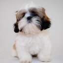 Edna Cortez - @epcortez920 - Twitter