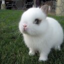 roberto ayon magaña - @AyonMagaa - Twitter