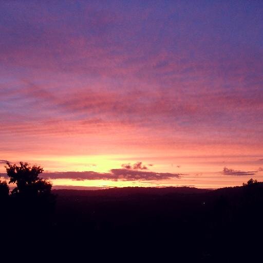 AHSmith2485's profile picture. Tall... Confused. Likes running. Writes nonsense. Own views.