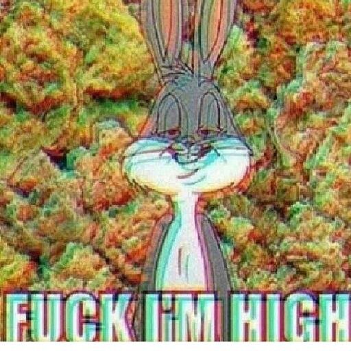 __ThatsSoAlli__'s profile picture. Follow me I follow back ! I don't fuck with fake hoes so if you got a bad attitude bye ;* Old account got hacked ):