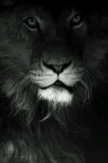 niksparx85's profile picture. I am who i am, love me for me not who you want me to be