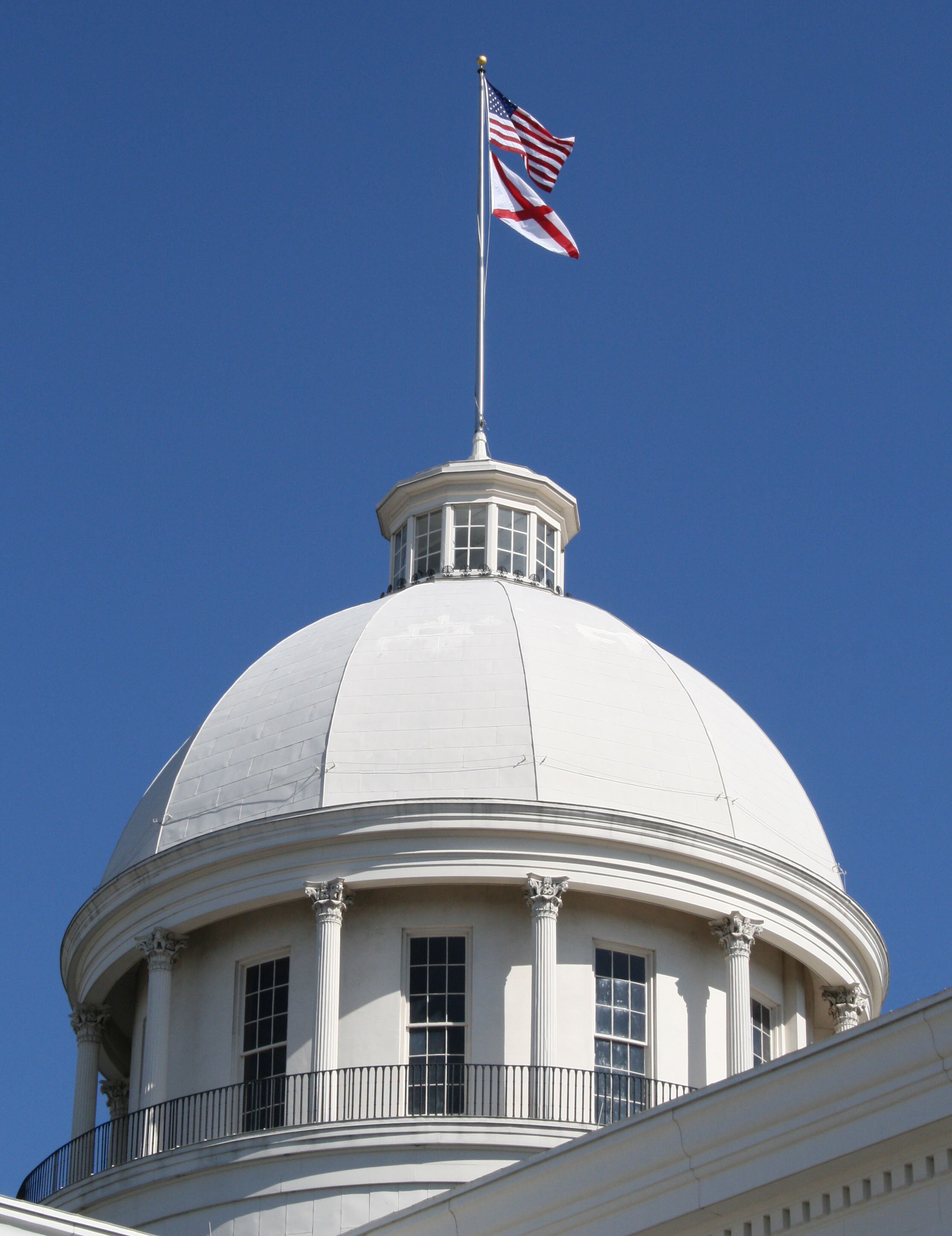 BamaNetgov's profile picture. 