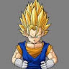 SonVegitoJr_'s profile picture. HI!! my name is vegito jr, #dad @vegitoathlete and my mom is....my mom is....wait who is my mom? #sisters @JasminaJ3533 @Stasmina