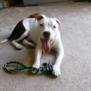 Dawn Crabtree - @dmcrabtree - Twitter