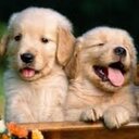 VICKY DELGADO - @vikidelgado06 - Twitter