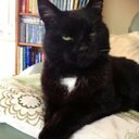 Jackie - @jacqui14taylor - Twitter