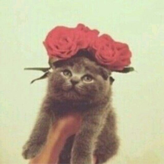 على الدنيا مؤقت♡ınstagram:Lulwahaldrees