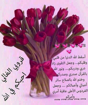 h0556274814's profile picture. 