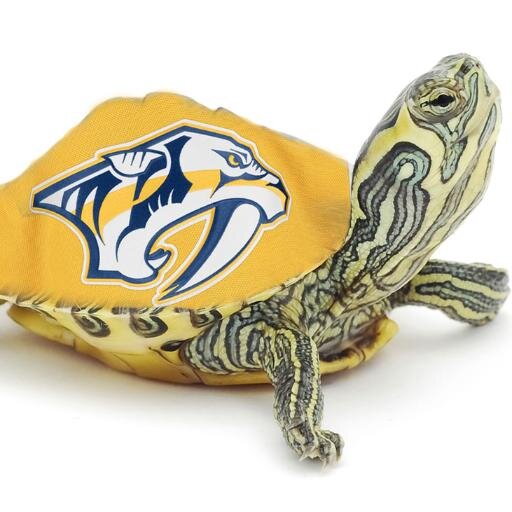 The unofficial reptile of the Nashville Predators. Hard shell. Soft heart. West Philadelphia born and raised. Opinions not my own, I am a puppet. #preds