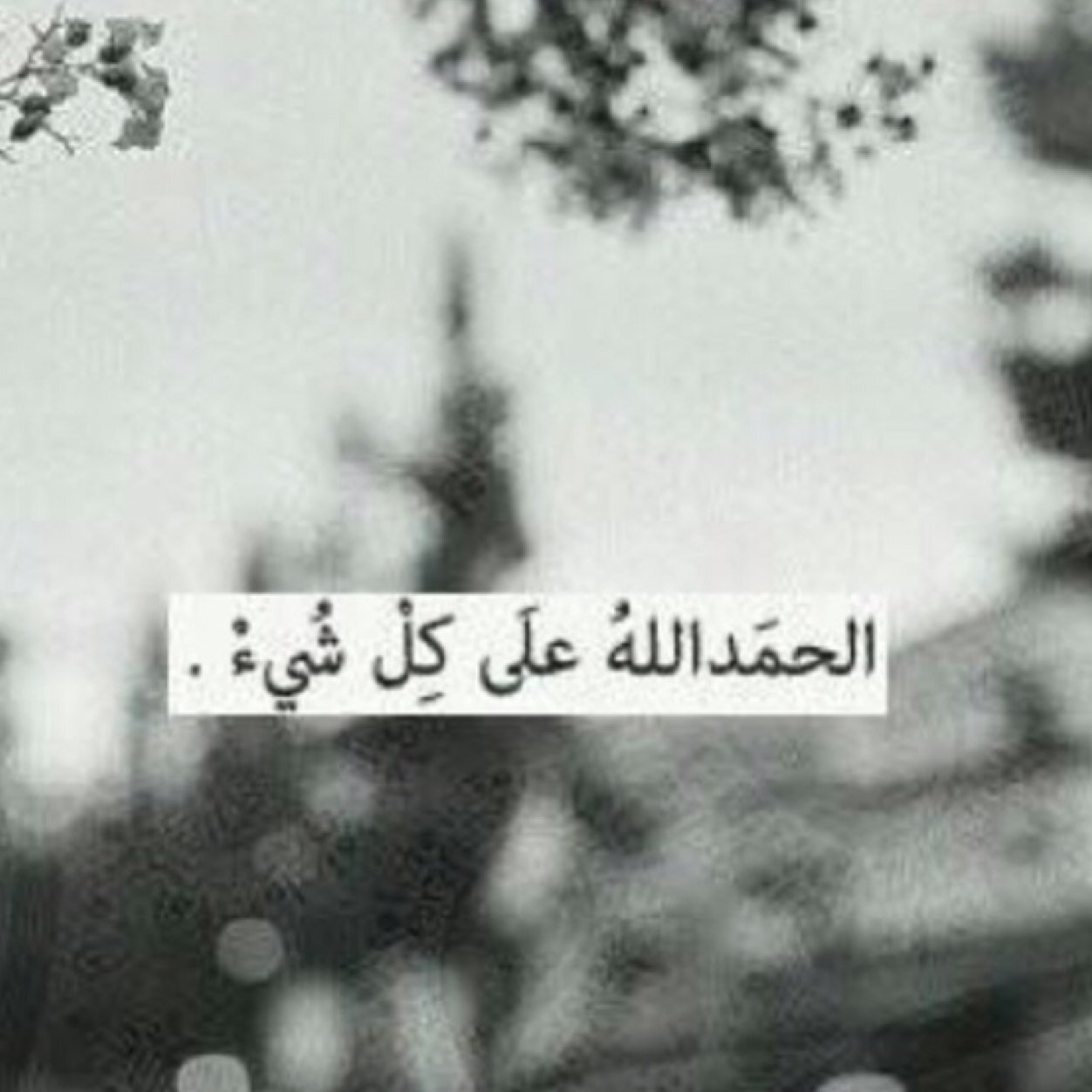 حسبي الله لاإله إلاهو رب العرش العظيم