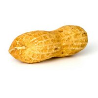 Peanut Facts  (@factspeanut) 's Twitter Profile
