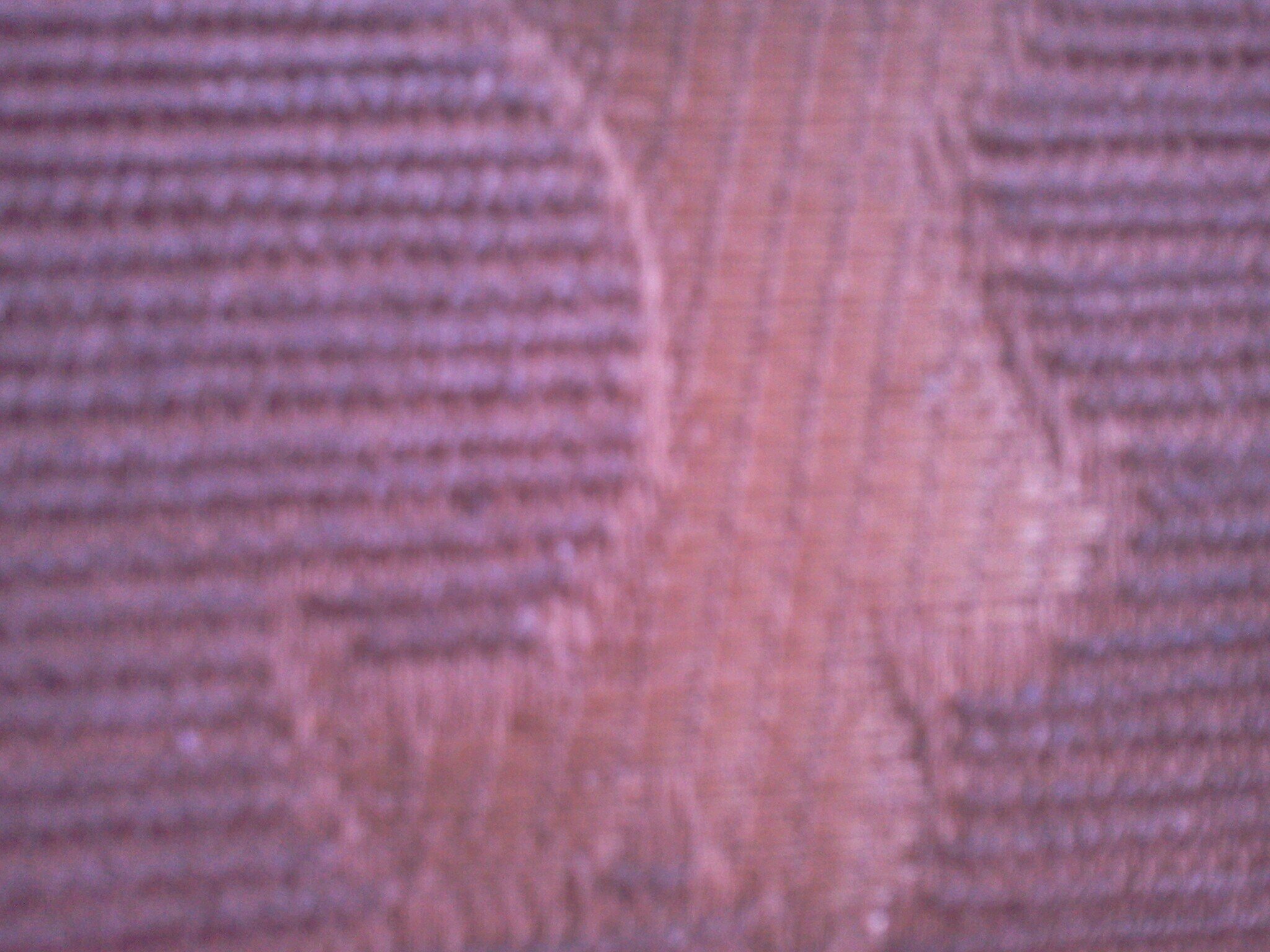 ClamorJuvenilVz Profile Picture