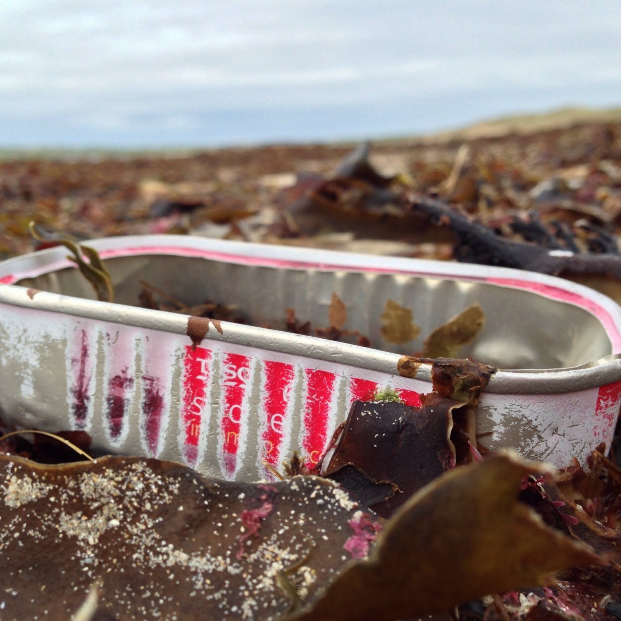 stage33media's profile picture. 