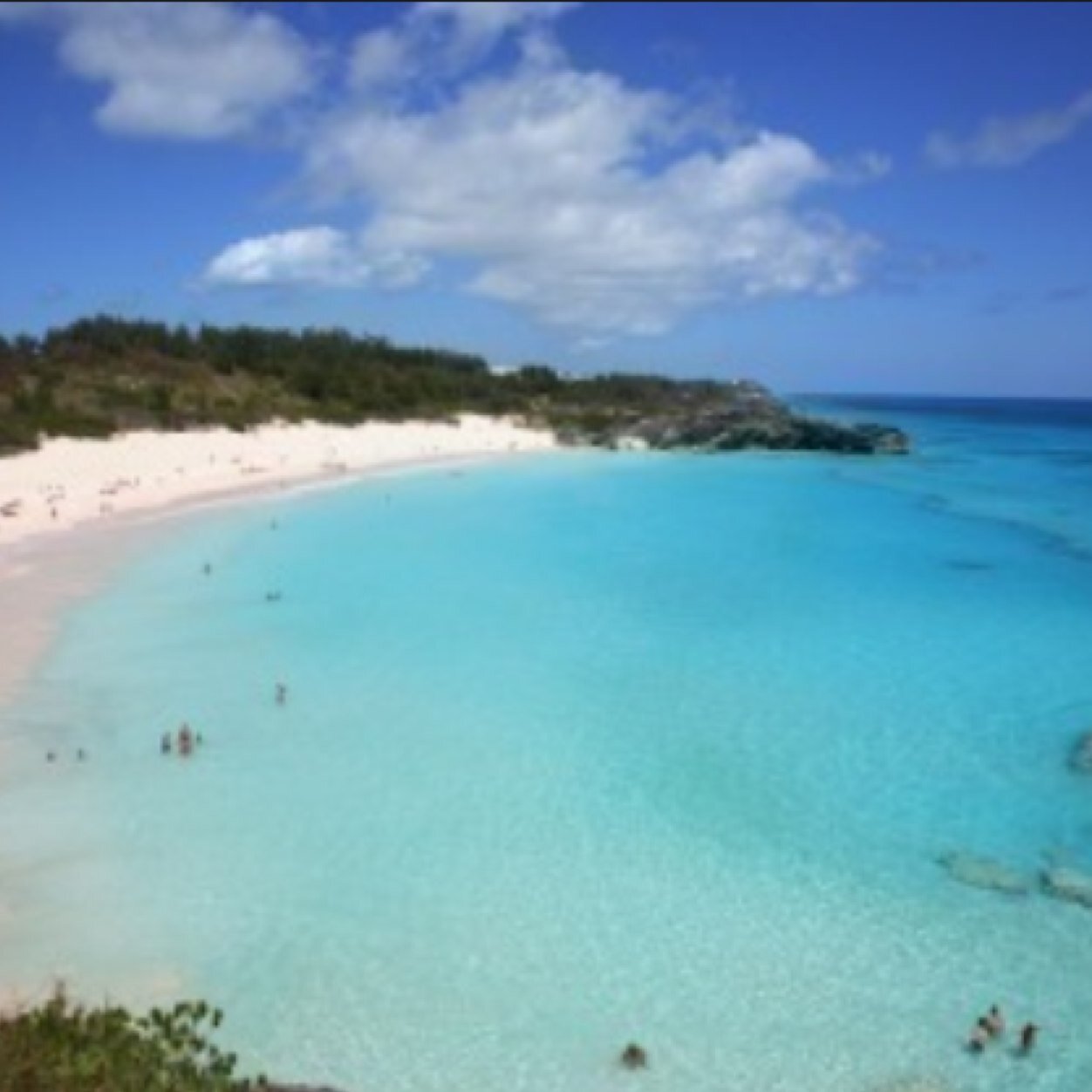 What happens when a group of celebrities are lost and stranded on an island? || @ or DM to join ||