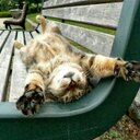 Jonathan Gallego - @TheGreatGallego - Twitter