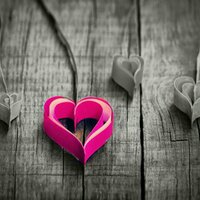 Nikki Meador (@meadornikki) 's Twitter Profile