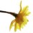 davidfawbert's profile image