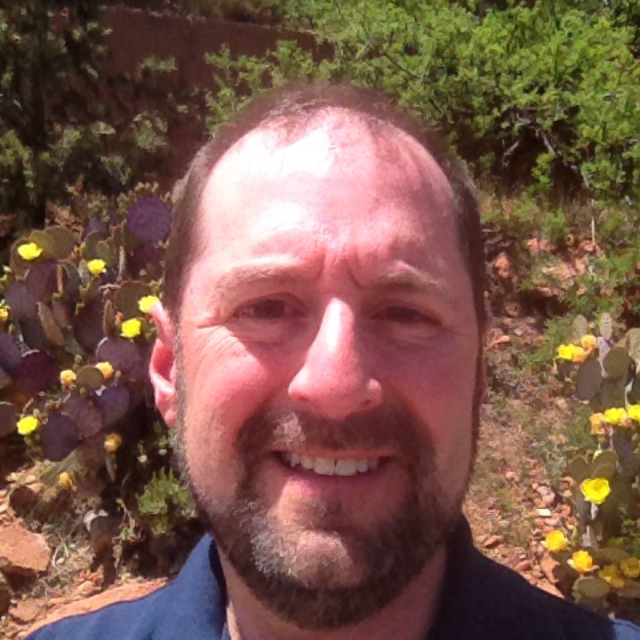 jason_insight Profile Picture