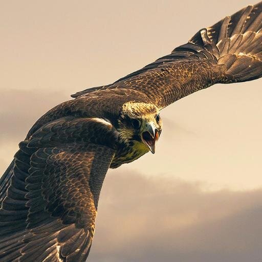 Unilife0's profile picture. 