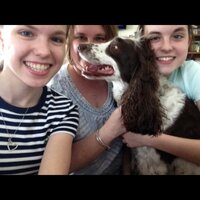 Barb Meyer (@bmeyer76) 's Twitter Profile