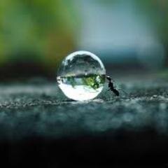 PsyQoPanther's profile picture. Above The Moon.