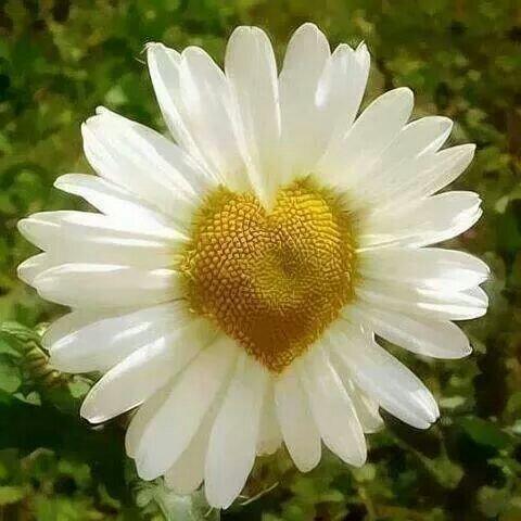 apollmann3's profile picture. 