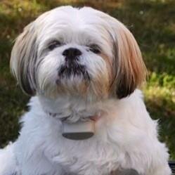 1GP33's profile picture. 