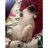 louisvofficiall's profile image