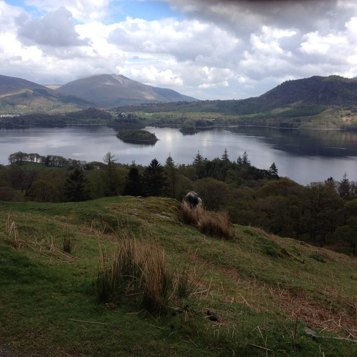 alison_mckaig's profile picture. 