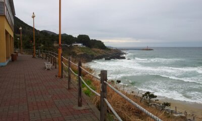 yokhago10da's profile picture. 대한민국 사랑