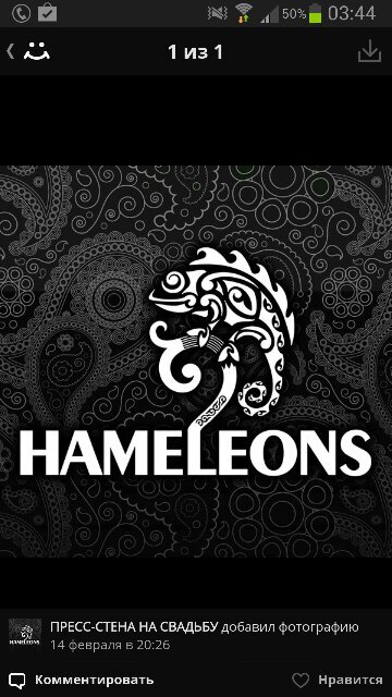 abc_hameleons's profile picture. 