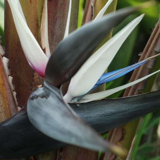 soulsolutions4u's profile picture. Soul Solutions Life Coaching: providing instructions for life, guiding souls to bring yesterday,today and tomorrow into NOW!