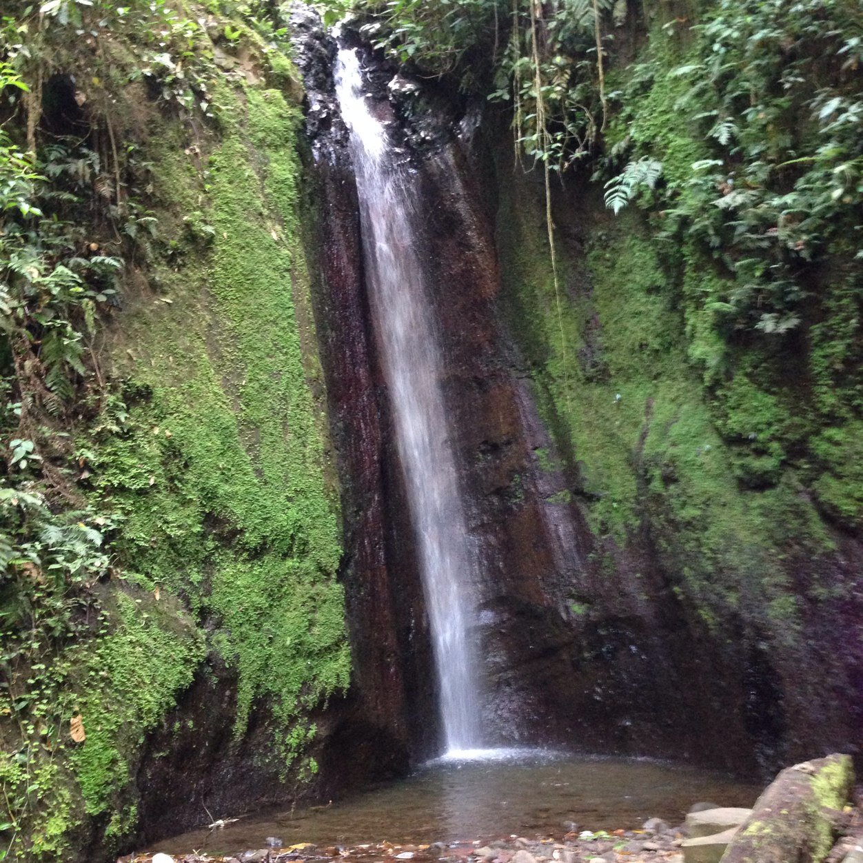 bmarlor's profile picture. 