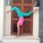 healthcoach.mx