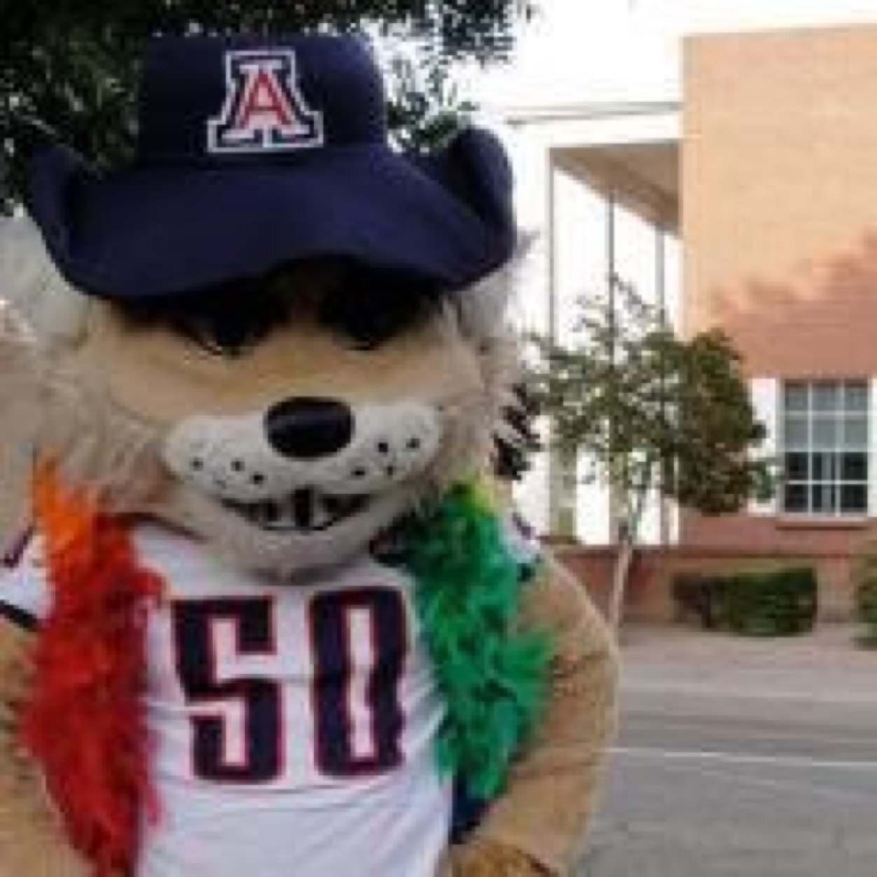 Official @UAAA Alumni Club supporting LGBTQA student scholarships, programs, and research at our alma mater, The @UofA!