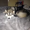 stuart ferguson - @stuartf45621319 - Twitter