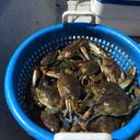 Mark Hebert - @markhebert13 - Twitter