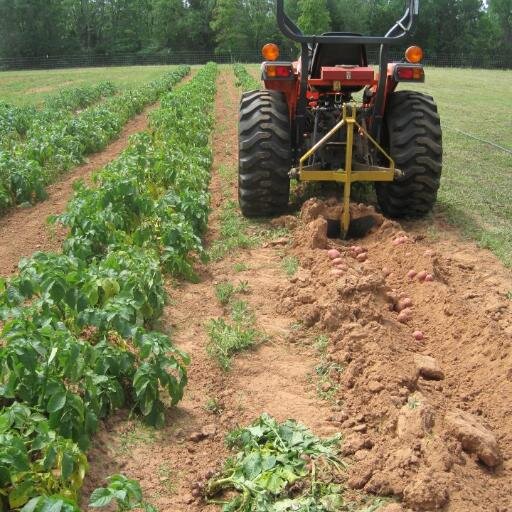 Your source for the freshest local grown produce, pastured eggs and handmade goods. 100% farmer-owned and operated. Come see us at the Fairgrounds!