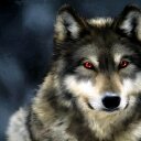 The Dark Wolf - @ItuMabusha - Twitter