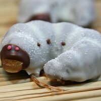 Silkworm (@silkworm) 's Twitter Profile