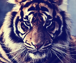 I L♥VE GOD, 5 Seconds Of Summer♥♥♥, One Direction ,Neymar ,Nicki Minaj and Mindless Behavior♥ follow me I'll follow you back #TeamFollowBaq!!!