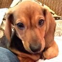 Foster Baker - @fosterbaker_ - Twitter