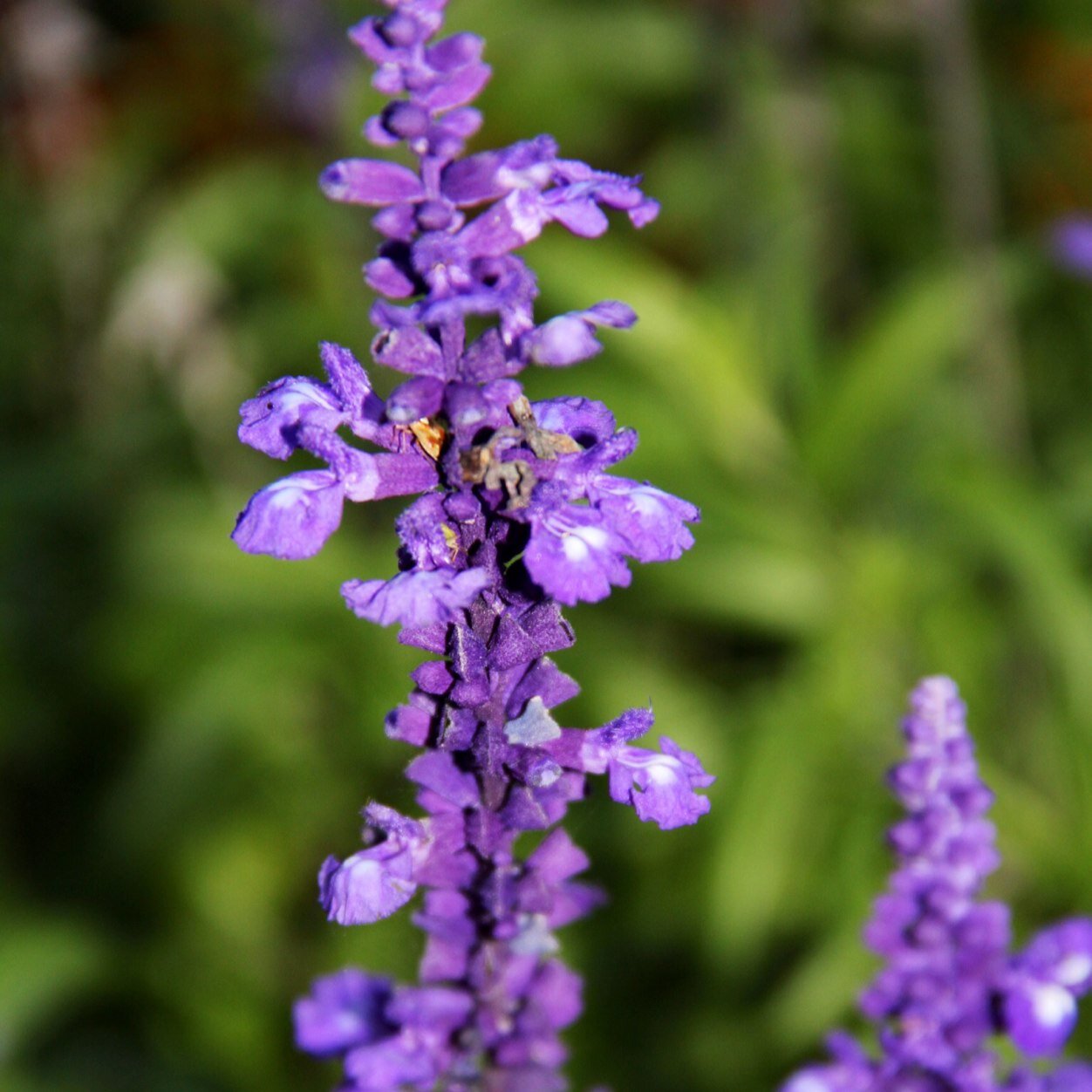 Tuslibross's profile picture. Libros favoritos