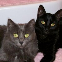 Latisha j DePoortere (@latishajean) 's Twitter Profile Photo