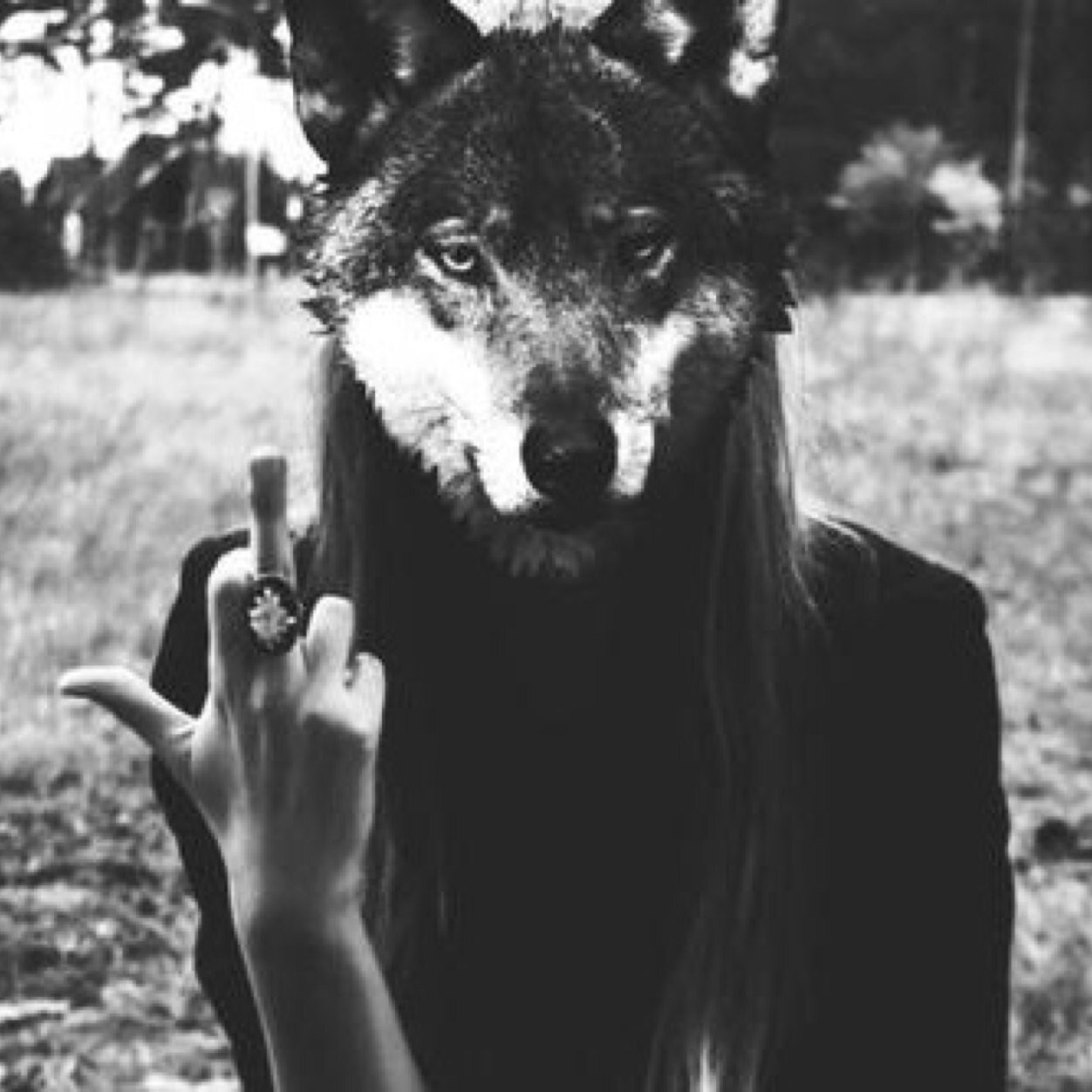 Nicki. 15. I love rock: BVB, pierce the veil, pantera, asking alexandria, against our burial, belie my burial, backstab burial, BOTDF, Suicide silents. Single