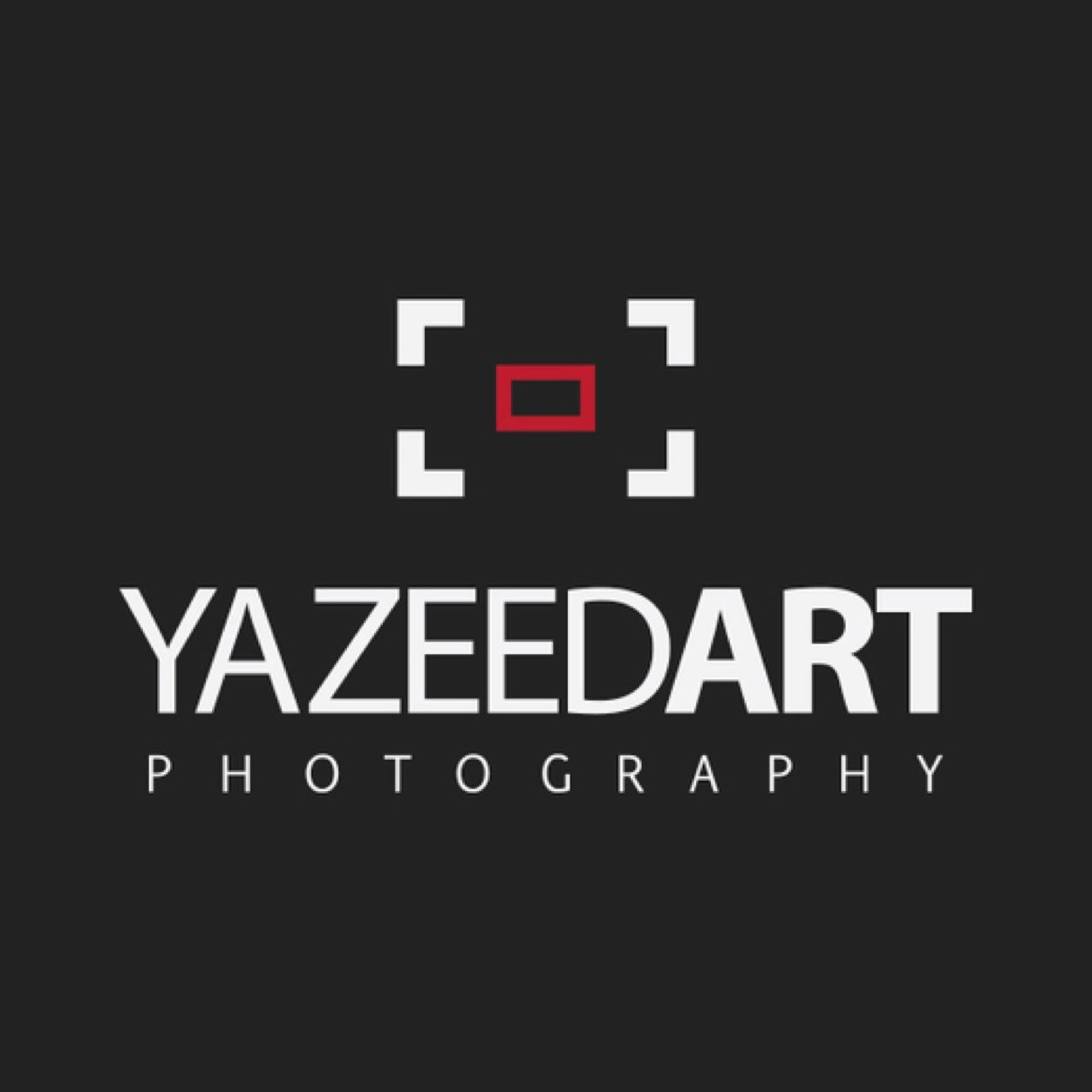 Digital Artist